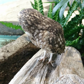 今日はキュートな日の画像