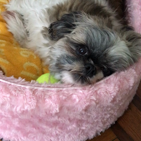 おじさんは可愛いものがお好き　第3話、第4話の画像