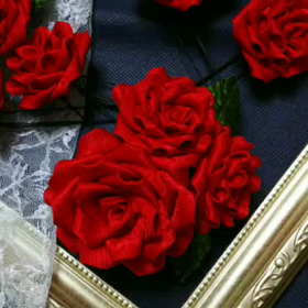 動画作り♪の画像