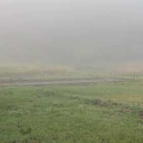 春のオールスター勢揃い‼️の画像