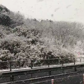 雪だぉー☃︎の画像