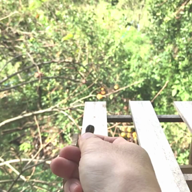 すぎぴたんの事件簿シーズン3　47話（スロースロースロー、スローだよ）の画像