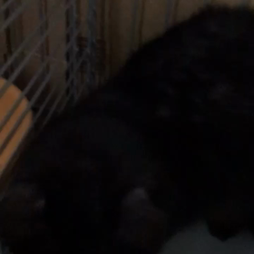 FIVのダディくん&永遠くんの画像