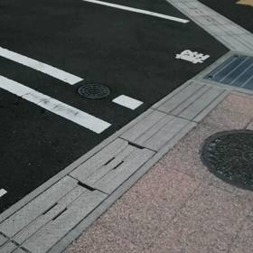 今朝は前半動かず、後半に頑張りました。安倍川駅前で友達？の救急車と消防車に遭遇。雄叫びの画像