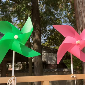 白鳥神社　風ぐるま(動画初挑戦)の画像