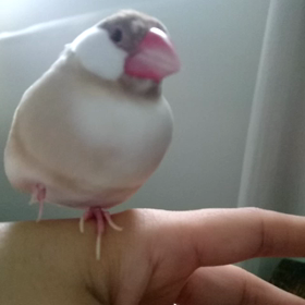 *あめ ☂️の画像