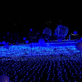 イルミネーション@東京ミッドタウンの画像