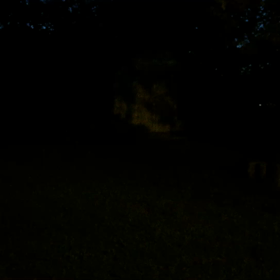 Fireflies （＾Ｏ＾☆♪の画像