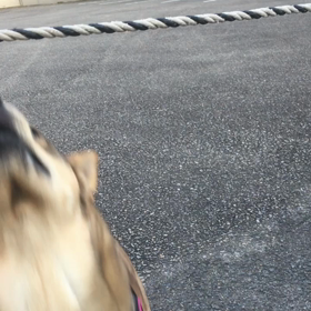 ふにふにの画像