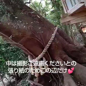 お参り→お礼参り②高千穂への画像