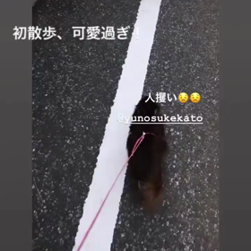 ボレーのテイクバックでの画像