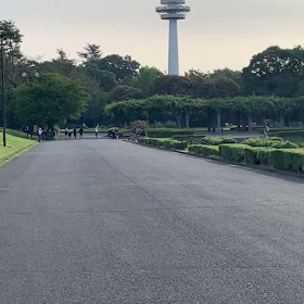 女子選考会ゴール付近⑦の画像