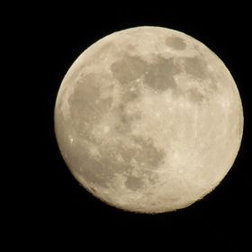 あの時の…の画像