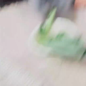 動くシンバの画像