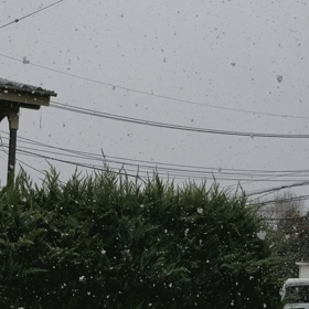 こんばんは＼(^o^)／❗の画像