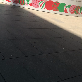 シドニーのクリスマスツリーにぶつぶつの画像