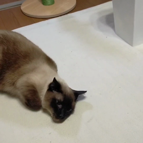 さっきの続き。の画像