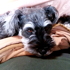 あけましておめでとうございます(^^)の画像