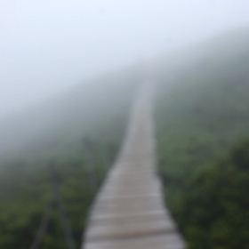2022.6.26 鳥取県 大山 ガスガスの九合目にて。の画像