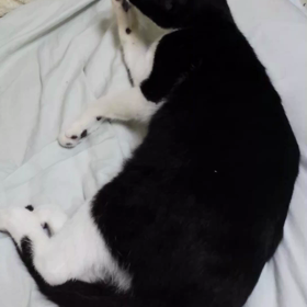 休憩なうの画像