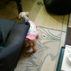 不思議な行動パート２の画像