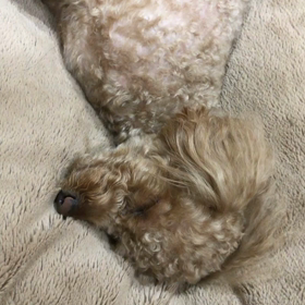 それが自分の画像