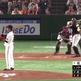 虎の救世主？！の画像