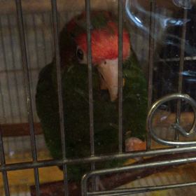 まるでジューサーのように。の画像