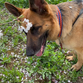 (ﾟoﾟ;;  ルー(＞人＜;)   バ　バ　バ　　バ　　バ　【動画】の画像