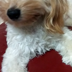 New＼(*^▽^*)／Yearの画像