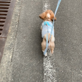 12月10日  寒くて…の画像