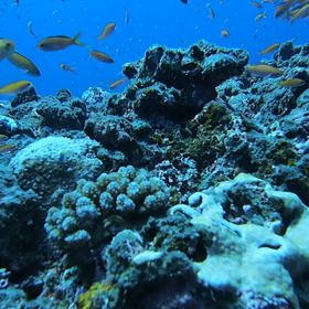 癒しの海の画像