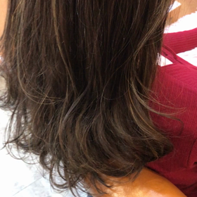 ３Dカラー   ハイライトの画像