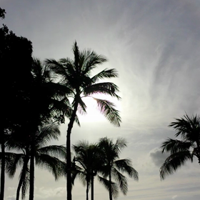 レインボー♡hawaii動画の画像