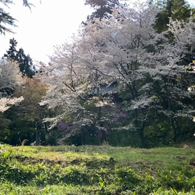 オーブ！の画像