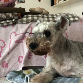 夢みてる？の画像