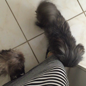 ▶︎host familyとのお別れの画像