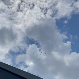 私の真上を通った！の画像