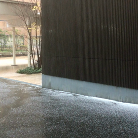 雨霰の画像