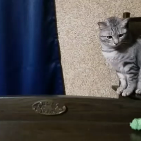 ウゴウゴ (閲覧注意)の画像