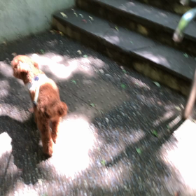 癖のある階段の上り方の画像