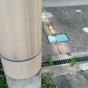 きのう何食べた？の画像