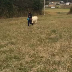 馬のオヤツの凄さ！の画像