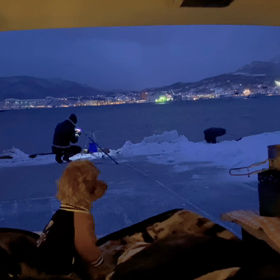 my favorite blue timeの画像