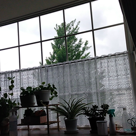 連休(*^_^*)の画像