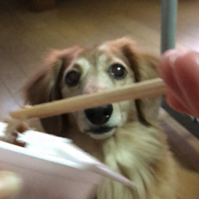 納豆も食べるの？の画像