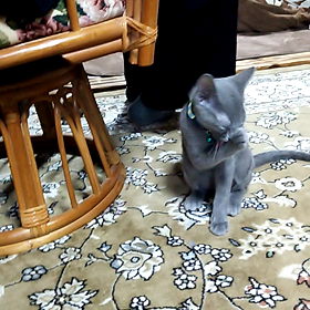 かわゆすぐる✨の画像