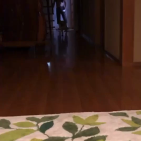 熱烈お出迎えの画像