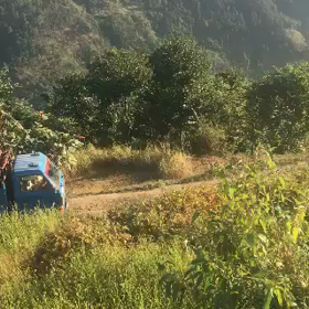 新しい月曜日に、小説を書き始めます‼️の画像