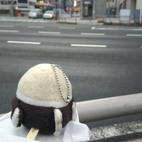 ピーコと私　ﾌﾟﾘﾌﾟﾘ130の画像